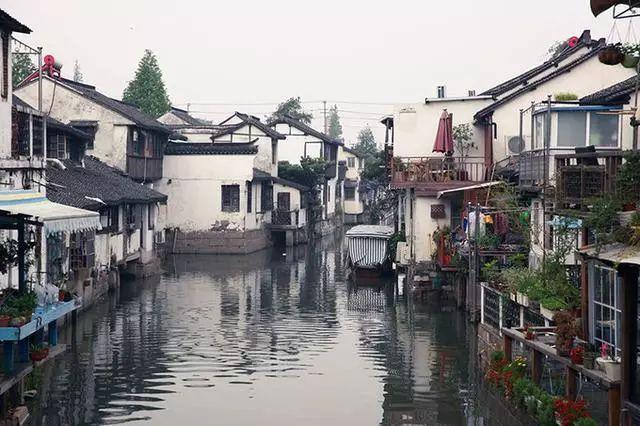 孤岛先锋